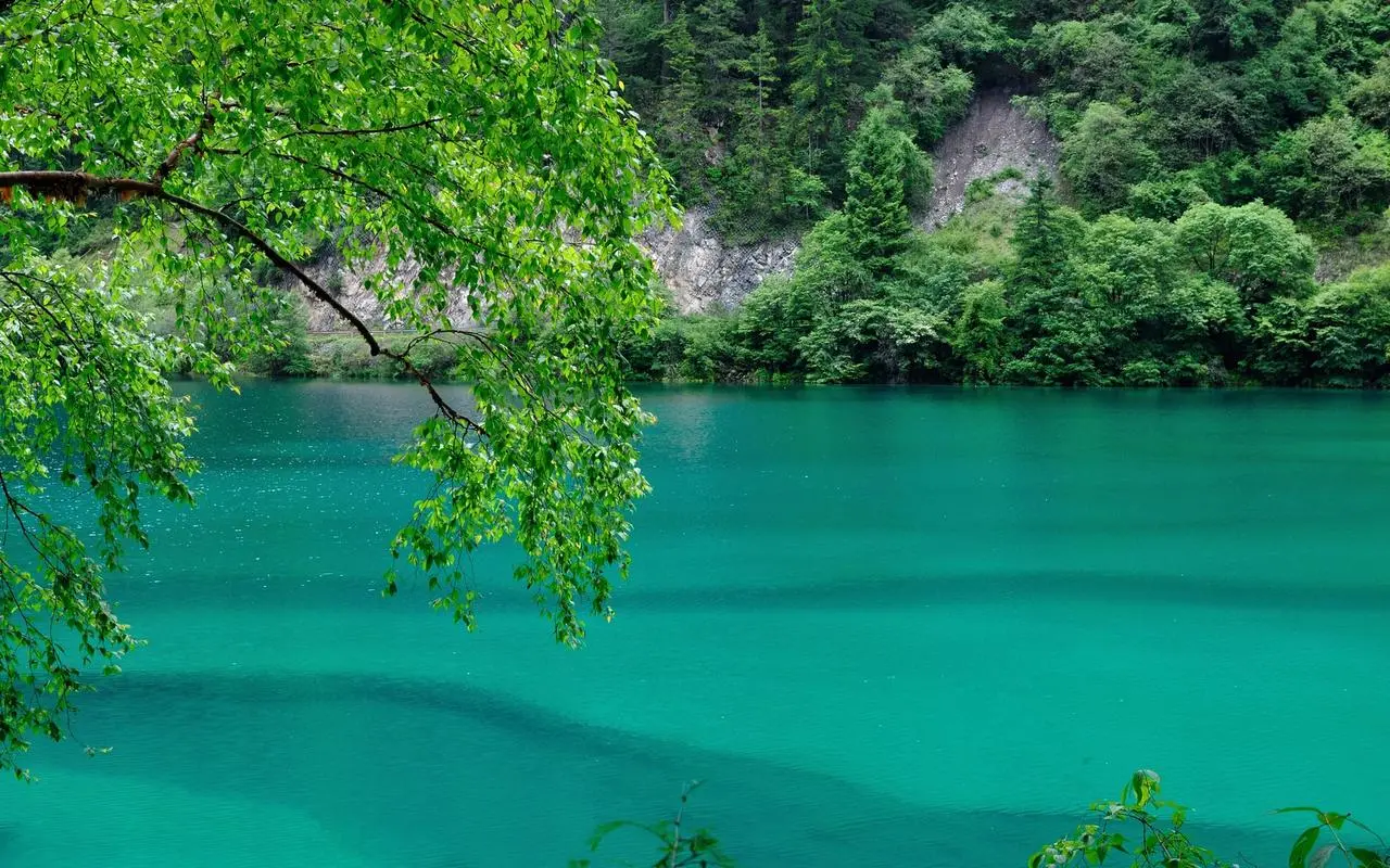 高性能高标准